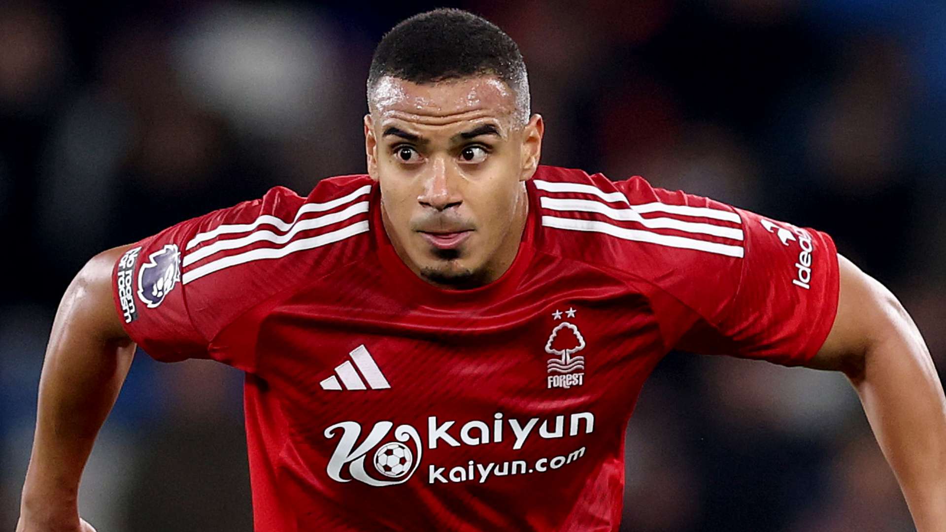 也引发了球 也引发了球