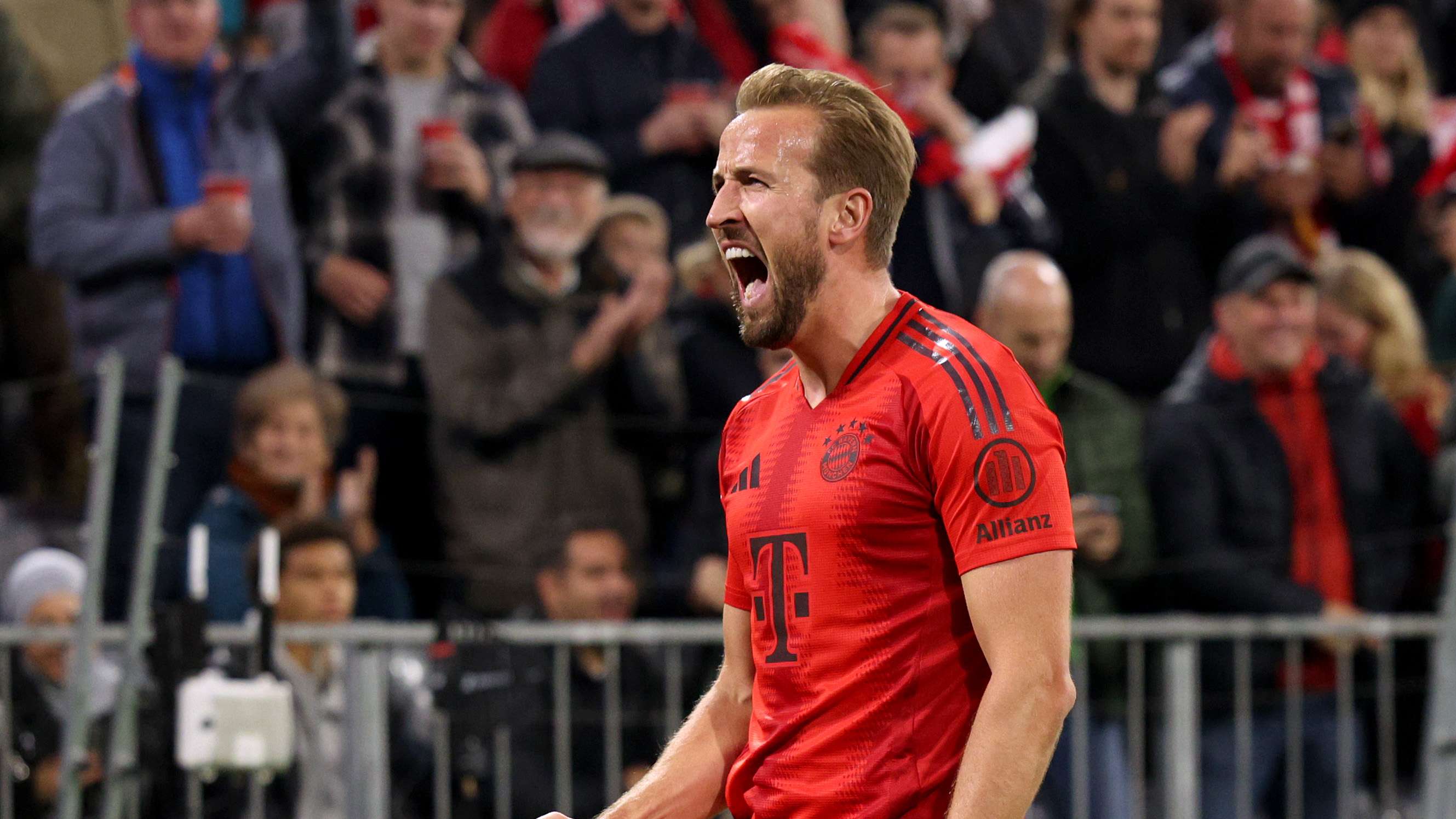 迷的热情 迷的热情